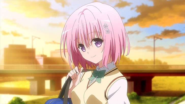 желтоволосая девушка аниме персонаж, Момо Велия Девилукэ, To Love-ru, розовые волосы, HD обои