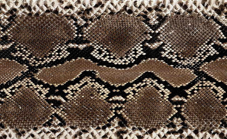 Cuero de serpiente, papel pintado de piel de serpiente negra y marrón, Animales, Reptiles y ranas, Serpiente, Cuero, Fondo de pantalla HD