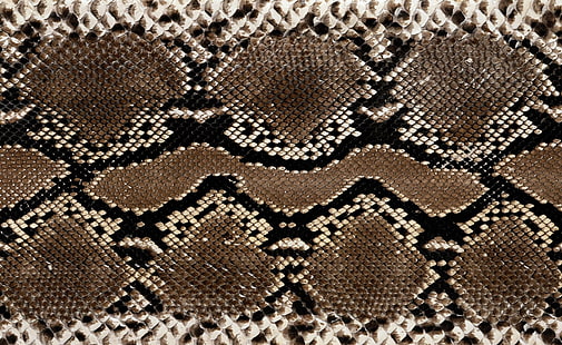 Pelle di serpente, carta da parati in pelle di serpente nera e marrone, Animali, Rettili e Rane, Serpente, Pelle, Sfondo HD HD wallpaper