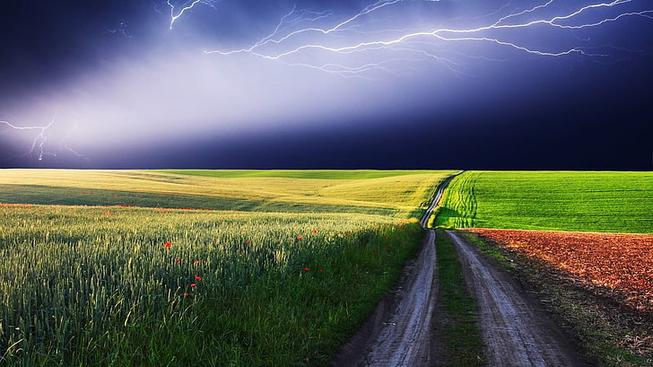 camino de tierra entre fondo de pantalla digital de campo de hierba, paisaje, tormenta, campo, cielo, Fondo de pantalla HD