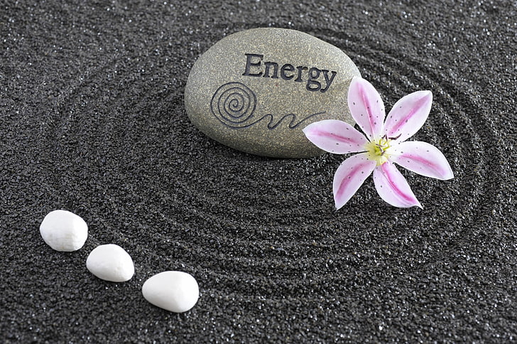energy, flowers, stone, Japan, garden, Zen, philosophy, sand monk, HD wallpaper