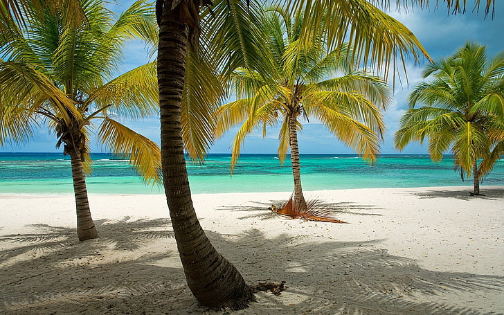 nature, paysage, plage, tropical, palmiers, République dominicaine, mer, Caraïbes, sable, île, été, horizon, lumière tachetée, Fond d'écran HD