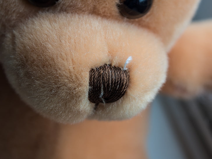 brown animal plush toy, teddy bear, nose, muzzle, material, HD wallpaper