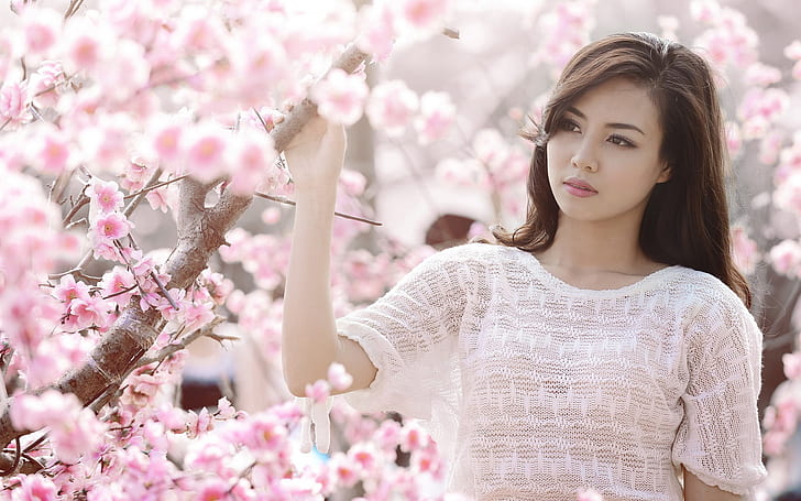 Bunga ceri merah muda, pakaian putih gadis asia, Merah muda, Ceri, Bunga, Asia, Gadis, Putih, Pakaian, Wallpaper HD