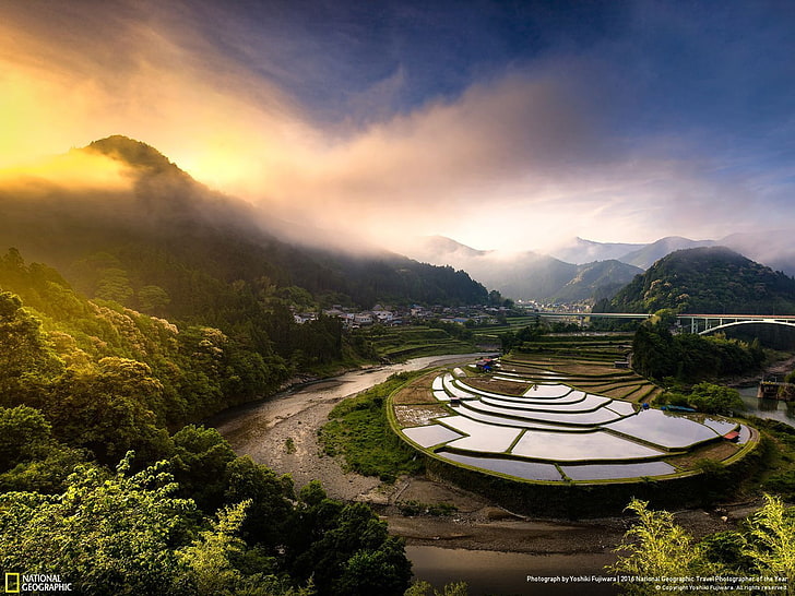 Krajobraz ryżowy w Japonii-National Geographic .., pole ryżowe w fotografii lotniczej, Tapety HD