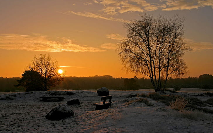 paysage, coucher de soleil, neige, hiver, arbres, Fond d'écran HD
