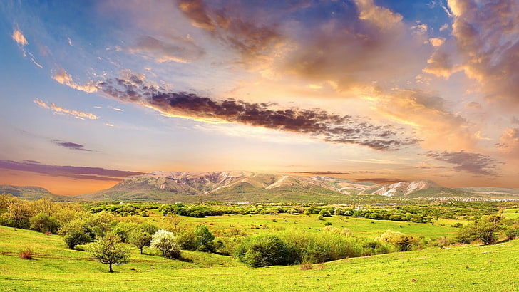 grünes Feldgras während der Tageszeit, Natur, Landschaft, Wolken, Bäume, HD-Hintergrundbild