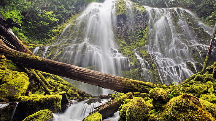 waterfalls and green trees, nature, waterfall, long exposure, HD wallpaper