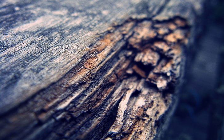 خشب بني ، ماكرو ، خشب، خلفية HD