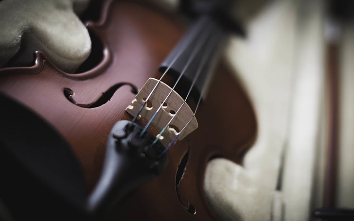 バイオリン楽器-音楽HDの壁紙、茶色と黒のバイオリン、 HDデスクトップの壁紙