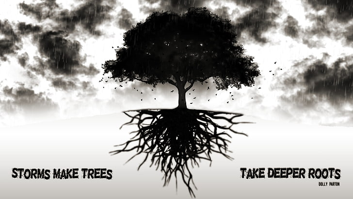 Бурите карат дърветата да вземат по-дълбоки корени илюстрация, цитат, дървета, буря, корени, HD тапет