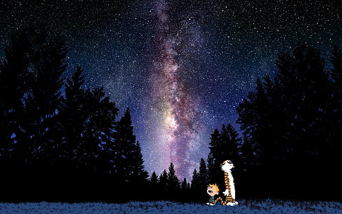 Calvin und Hobbes, HD-Hintergrundbild HD wallpaper