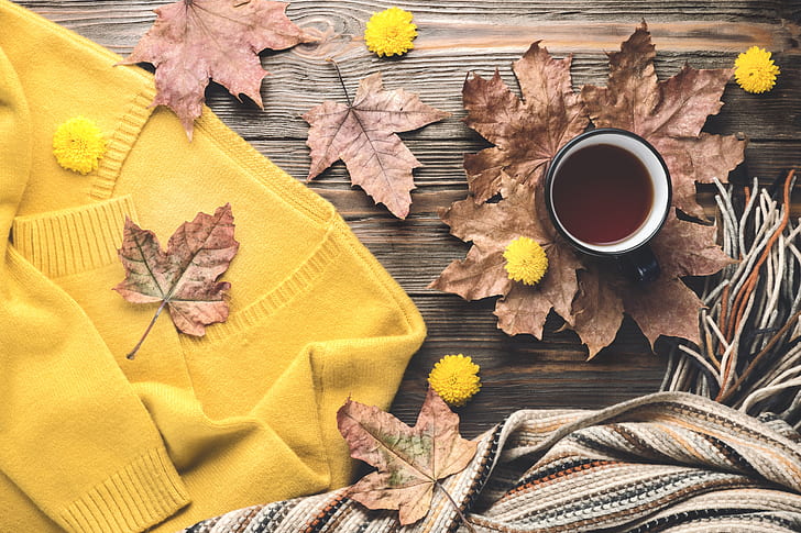 autumn, leaves, background, tree, coffee, colorful, Cup, wood, HD wallpaper