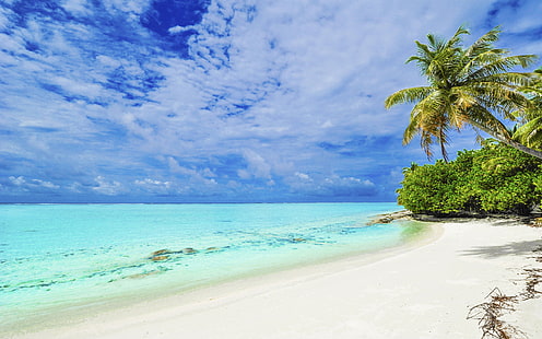 Пляж Пунта Матира Остров Бора Бора Тропический пляж с пальмами, белым песком и чистой водой HD обои высокого разрешения 1920 × 1200, HD обои HD wallpaper