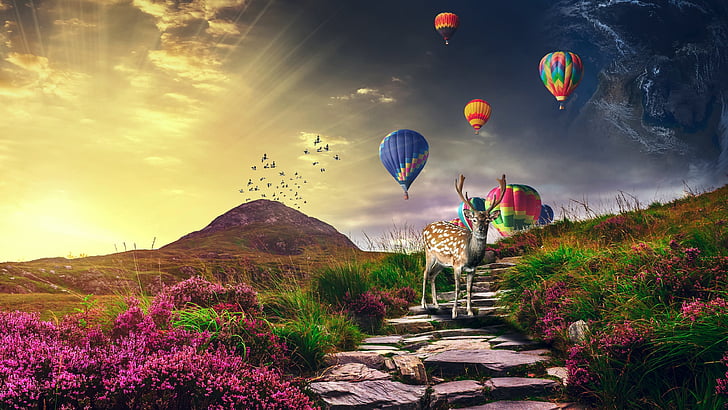 nature, sky, hot air balloon, landscape, sunlight, sunshine, earth globe, dreamland, colorful, HD wallpaper