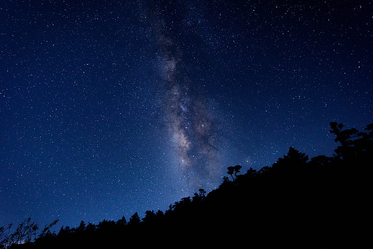 은하수, 은하수, 별이 빛나는 하늘, 나무, HD 배경 화면