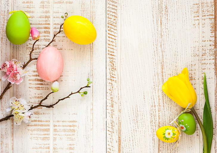 flowers, branches, apple, spring, Easter, tulips, wood, blossom, eggs, decoration, Happy, the painted eggs, HD wallpaper