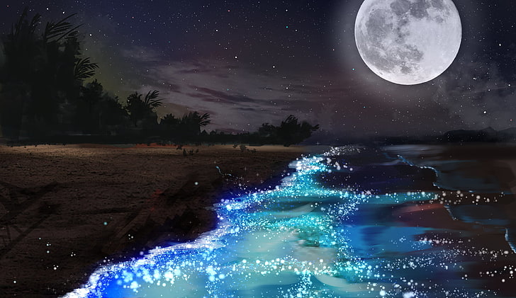luna llena, ilustraciones, luna, cielo, estrellas, bosque, agua, nubes, playa, paisaje, Fondo de pantalla HD