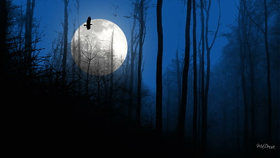 Como The Crow Flies, árboles luna y pájaro, cuervo, cuervo, luna llena, bosque, crepúsculo, pájaro, bosque, azul, noche, 3d y abstracto, Fondo de pantalla HD HD wallpaper