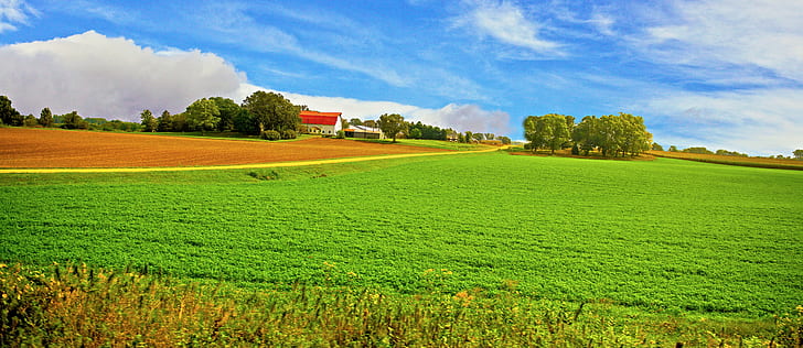 bidang rumput hijau di bawah langit berawan putih dan biru pada siang hari, dakota utara, dakota utara, alam, adegan pedesaan, pertanian, lapangan, pertanian, musim panas, padang rumput, eropa, pohon, tanah, di luar ruangan, lanskap, lanskap, langit, bukit, rumput, scenics, biru, Warna hijau, Wallpaper HD