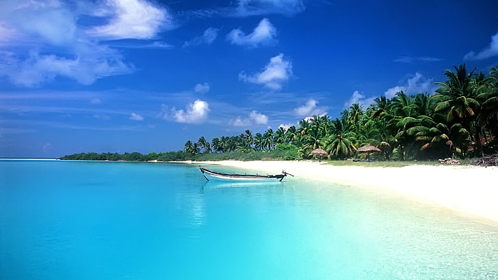 tropical, sea, boat, palm trees, beach, HD wallpaper