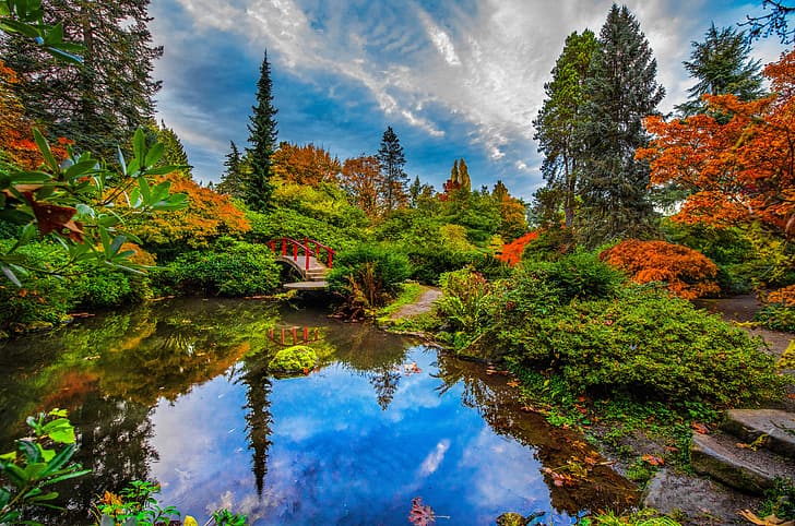 autumn, trees, bridge, pond, reflection, Seattle, the bushes, Japanese garden, Washington State, Kubota Garden, Washington, Garden Kubota, HD wallpaper