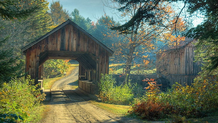 Beautiful Tiny Wooden Bridge, forest, bridge, countryside, road, nature and landscapes, HD wallpaper