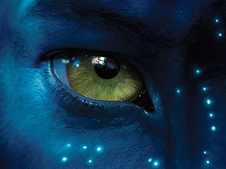 human eye, blue, eyes, avatar, HD wallpaper