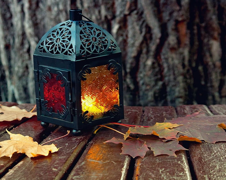 Lantern Leaves Autumn HD, natura, liście, jesień, latarnia, Tapety HD