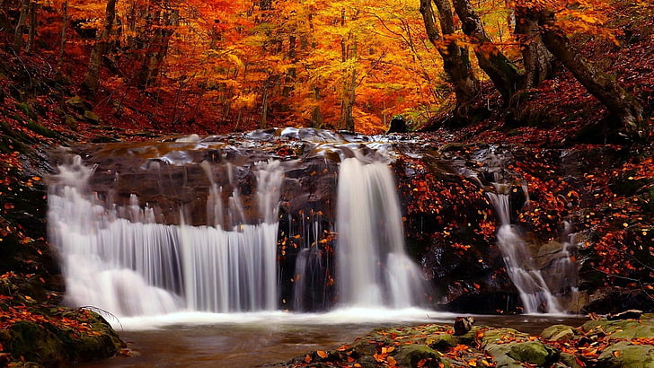 orange and red maple trees and waterfall, nature, landscape, fall, river, trees, waterfall, HD wallpaper