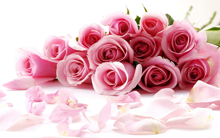Fantastiche rose, rose, fantastici fiori, Sfondo HD