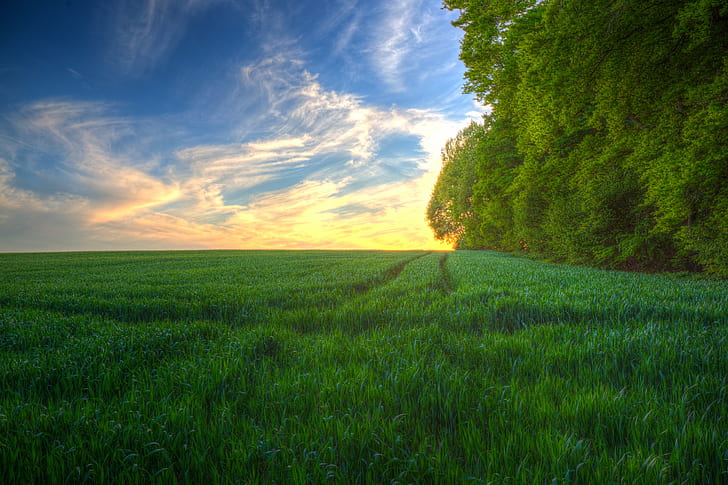 зелено тревисто поле над хоризонта, красота, пролетно зелено, тревисто, поле, над хоризонта, природа, селски Сцена, трева, на открито, ливада, лято, пейзаж, земеделие, небе, слънчева светлина, синьо, залез, зелен сезон, живопис, ферма, извънградска сцена, HD тапет