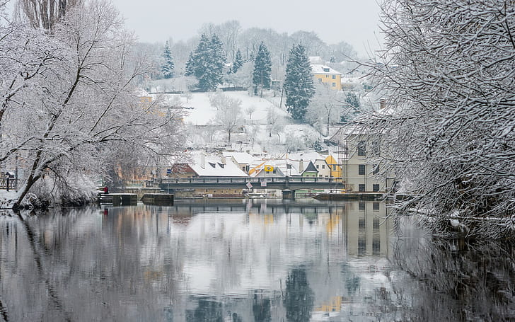 Чехия, Прага, заснеженные деревья, Чехия, Прага, река Влтава, зима, деревья, снег, HD обои