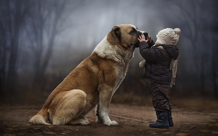 duży, krótkowłosy biało-brązowy pies, pies, dzieci, las, Tapety HD