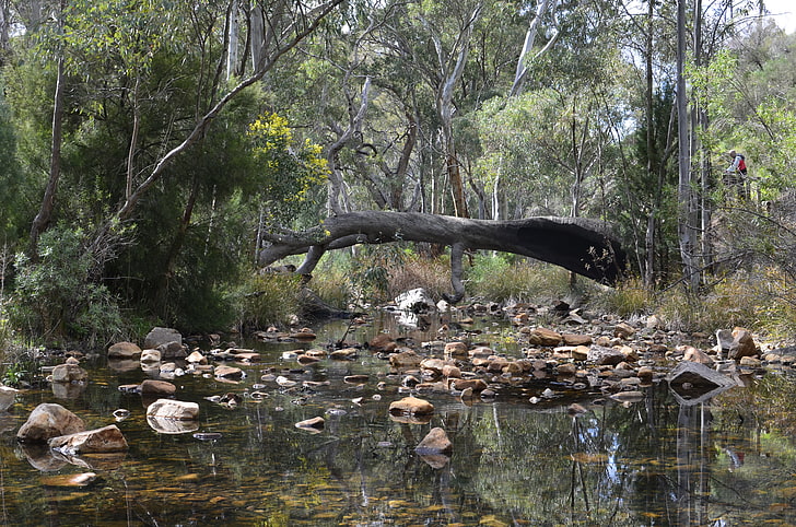 Bäche, Wasser, Mambray Creek, HD-Hintergrundbild