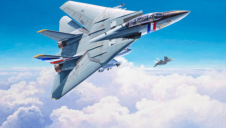 Grumman F-14 Tomcat, artwork, militaire, véhicule, avion militaire, Fond d'écran HD