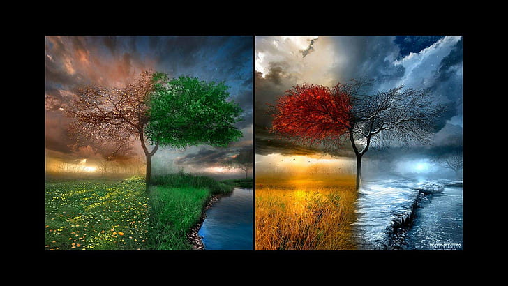 Four Seasons HD, autumn, four seasons, seasons, spring, summer, winter, HD wallpaper