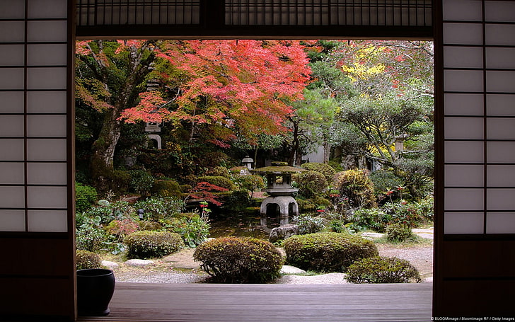 Japanese house and garden-Windows Theme Wallpaper, green leaf plants, HD wallpaper