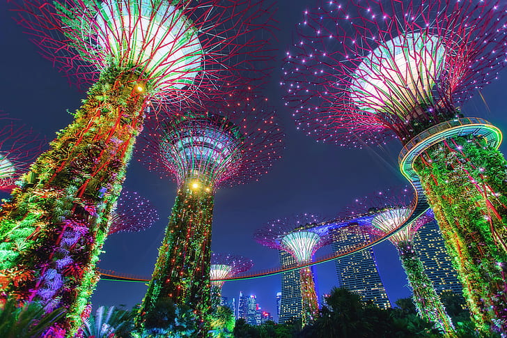 Парк, сингапур, освещение, сады у залива, сверхдержава, роща супердеревьев, HD обои