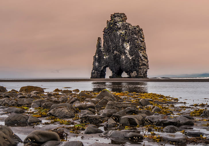 rock formation in the middle of sea during day time, Hvítserkur, rock formation, middle, sea, day, time, Rubio, Islandia, iceland, playa, beach, rock - Object, nature, coastline, HD wallpaper