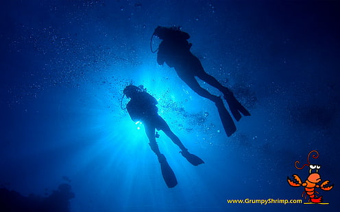 water divers, HD wallpaper HD wallpaper