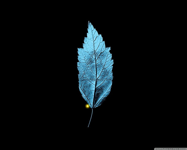 синий лист, бахрома (сериал), листья, HD обои