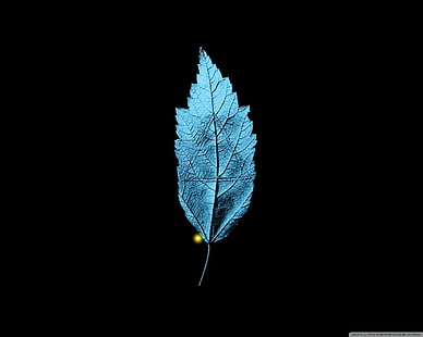 foglia blu, frangia (serie TV), foglie, Sfondo HD HD wallpaper
