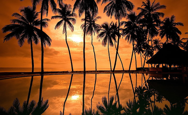 Hawaiian Beach Sunset Reflection, silhouette of coconut trees, Nature, Sun and Sky, sunset, hawaii, hawaiian, beach, beaches, refection, reflections, hawaii beach, hawaiian beach, beach sunset, HD wallpaper