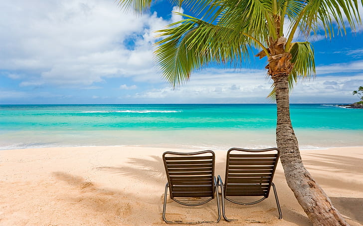 열대 야자 나무 오션 비치 의자 HD, 자연, 바다, 해변, 나무, 열대, 야자, 의자, HD 배경 화면