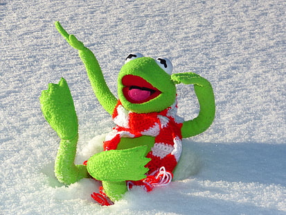 cold, frog, fun, kermit, snow, winter, HD wallpaper HD wallpaper