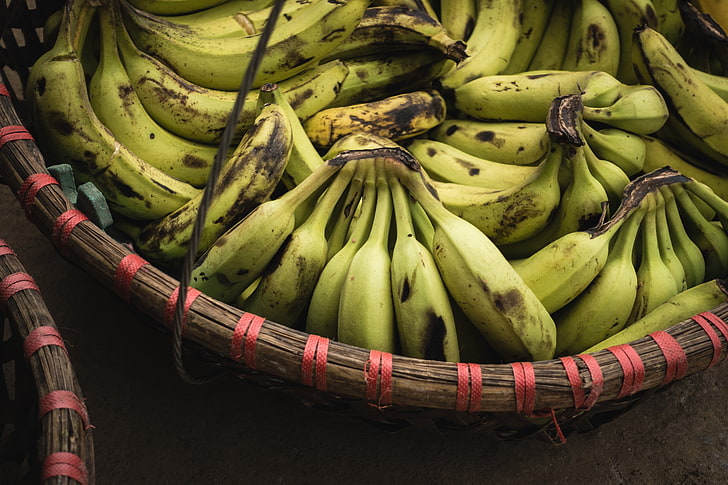 فاكهة الموز الأخضر الكثير ، الموز ، حفنة ، الفاكهة، خلفية HD