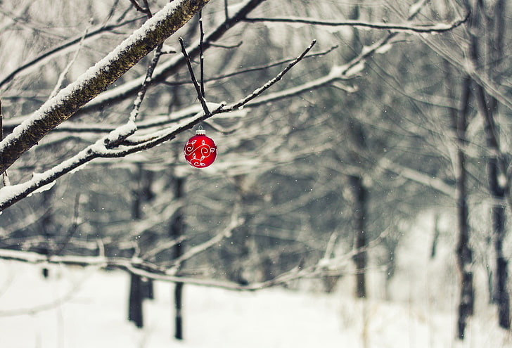 textil floral blanco y rojo, árboles, adornos navideños, nieve, invierno, rama, profundidad de campo, Fondo de pantalla HD