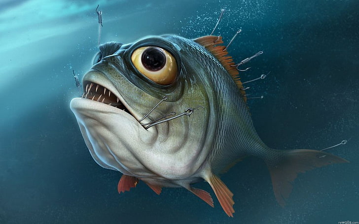 сива риба с много куки илюстрация, очи, вода, риболов, риба, пирани, куки, HD тапет