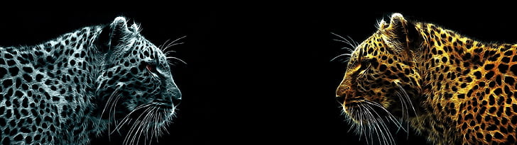 Doppelmonitor, der dunkle Hintergrund, Jaguare, HD-Hintergrundbild